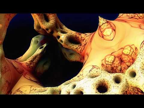 Dendriform - Epidendroid