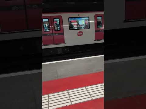 Metro Barcelona L1 Serie 6017 Torrassa