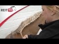 Pferdefrisuren Frisuren Für Lange Mähnen Der Mozartzopf