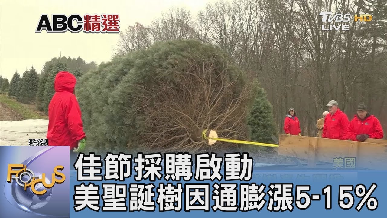 佳節採購啟動 美聖誕樹因通膨漲5-15%