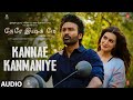 Kannae Kanmaniye Audio Song | Tere Ishk Mein | Dhanush, Kriti | AR Rahman | Aanand L Rai | Bhushan K
