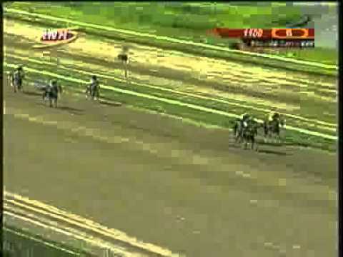 6ta Carrera Domingo 24 Agosto La Rinconada