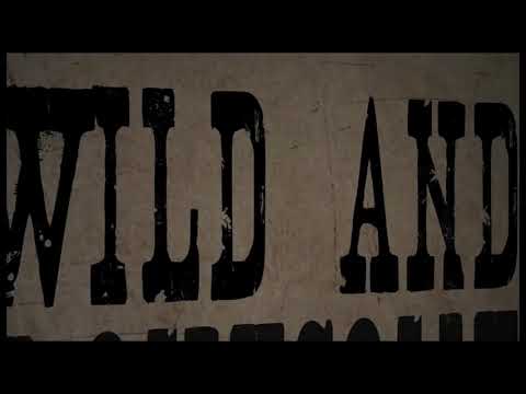 Wild and Lonesome - Shooter Jennings