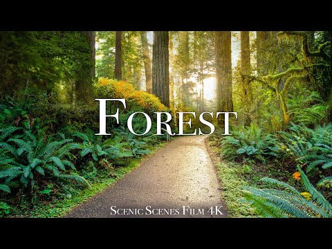 Our Green Planet