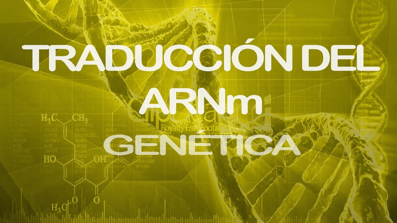 Traducción del ARNm [Parte 1] | Genética