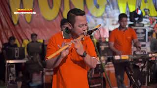 Download lagu DIRIMU BAGAIKAN REMBULAN - TASYA ROSMALA - ADELLA mp3 Download lagu DIRIMU BAGAIKAN REMBULAN - TASYA ROSMALA - ADELLA mp3