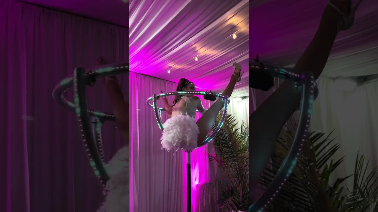Promotional video thumbnail 1 for Jessica Lynn, Aerial and Performance Art