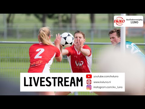 Weidevogels 1 - LUNO 1