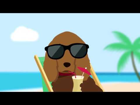 Barking Mad 'How it works in 60 seconds' Happy Dog, Happy Holiday, Happy You!