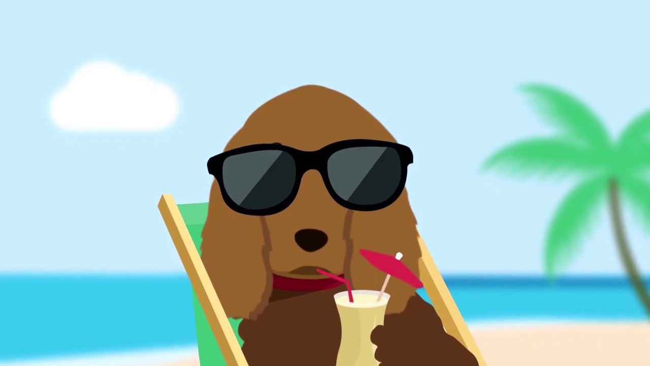 Barking Mad 'How it works in 60 seconds' Happy Dog, Happy Holiday, Happy You!