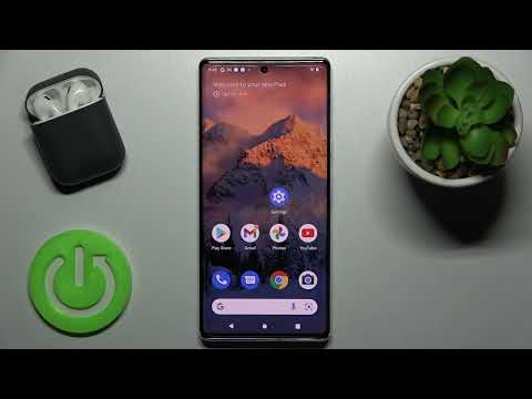 How to Mute Notifications Sound on Google Pixel 6 Pro?