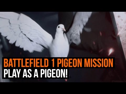 Battlefield 1 Pigeon Mission Gameplay - Play as a Pigeon!