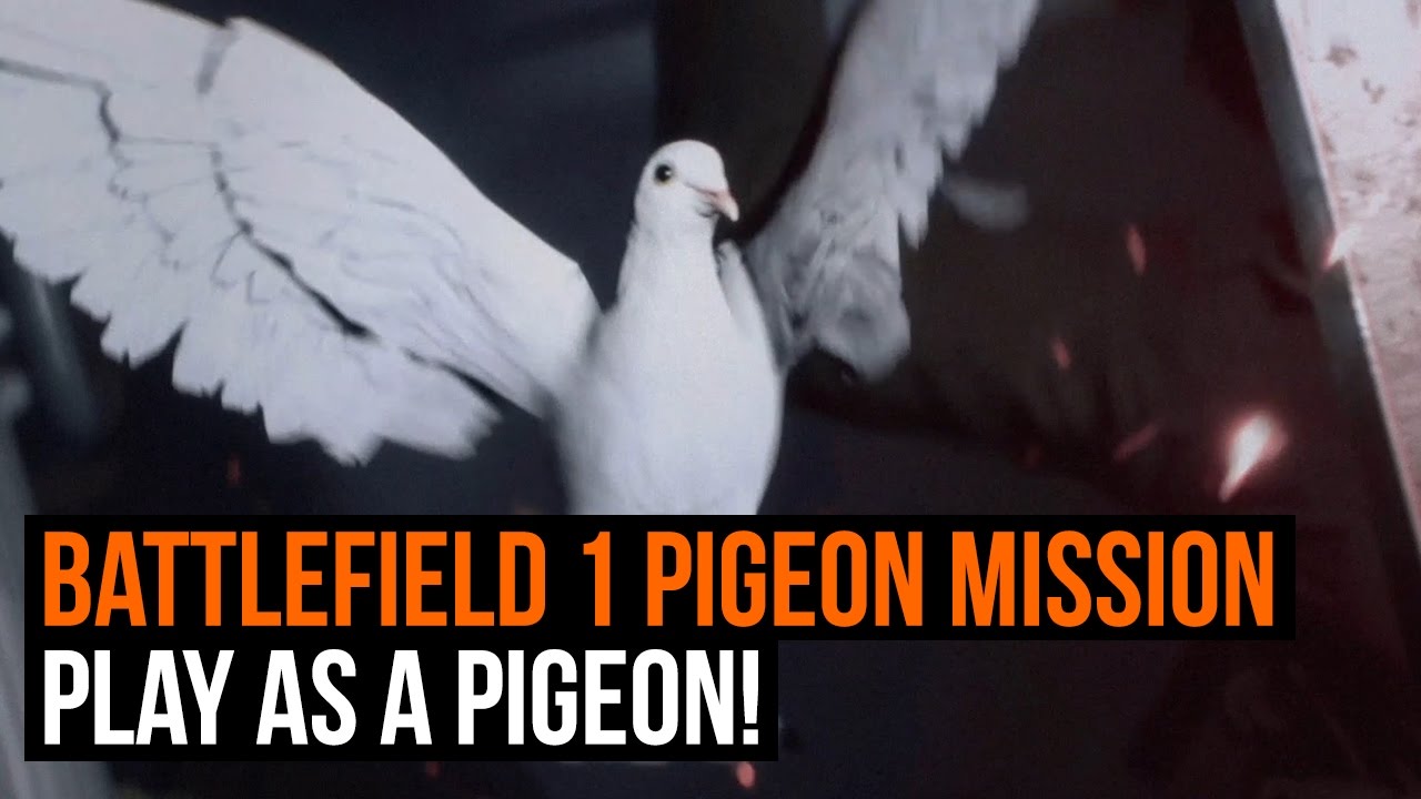 Battlefield 1 Pigeon Mission Gameplay - Play as a Pigeon! - YouTube
