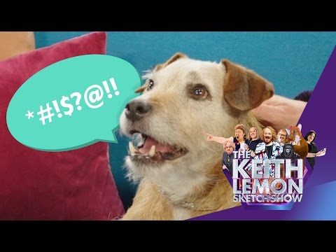 The Swearing Dog On This Morning With Holly & Phillip | The Keith Lemon Sketch Show