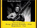 Kaunsi Kanada Alap & Rageshree Gat - Pt Ravi Shankar