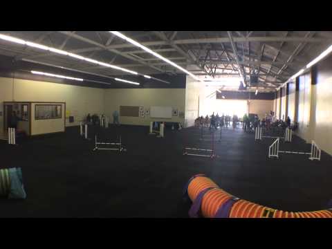 Bev and Pixie - Jumpers (12") - 2015-05-17