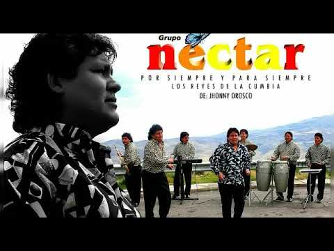 Mariposa - Grupo Nectar