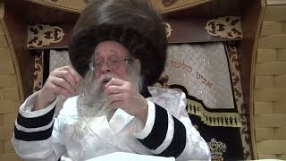 תוציא את הנגע מהבית! שיחה במוצ"ש פרשת תזריע מצורע [סדרי טהרה] תשפ"ו מהצדיק רבי יצחק לעזער שליט"א