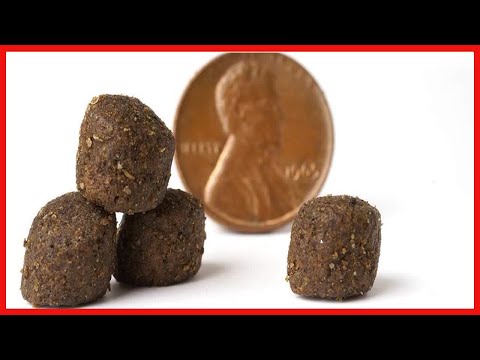 VICTOR Super Premium Dog Food – Grain Free Yukon River Canine and All Life Stages – High Protein Dry