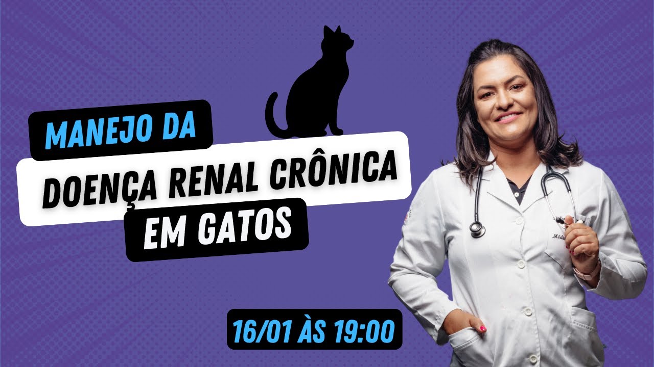 Manejo da Doença Renal Crônica em Gatos