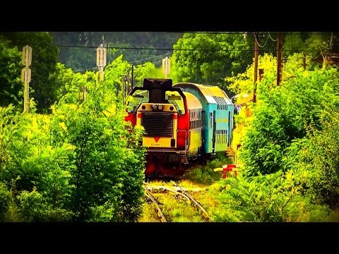 R3076 cu Vagon Cușetă și Ramă TE - Bratca, Bihor County (30 07 2013)