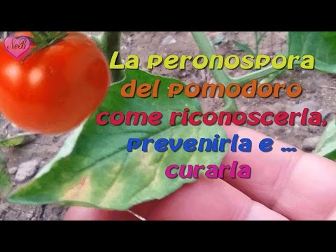 Se ci prostatite Quanti vivono con adenoma prostatico