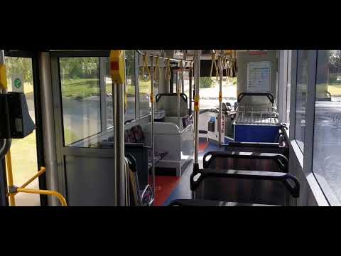 TransBusselton Bus No. 801