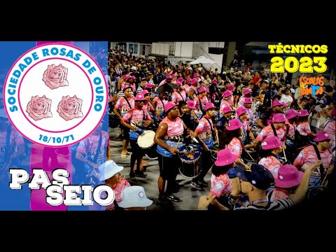 Rosas de Ouro 2023 - PASSEIO pela Bateria com Identidade #PioneiroNoVídeoDosBreques