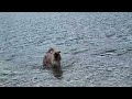 First Dip In The Lake 2025