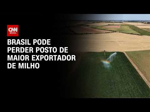 Brasil deve perder posto de 2º exportador de milho para Argentina | CNN AGRO NEWS