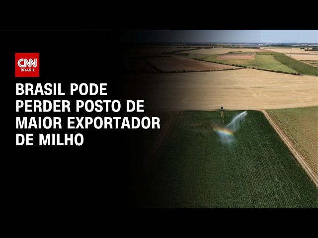 Brasil deve perder posto de 2º exportador de milho para Argentina | CNN AGRO NEWS