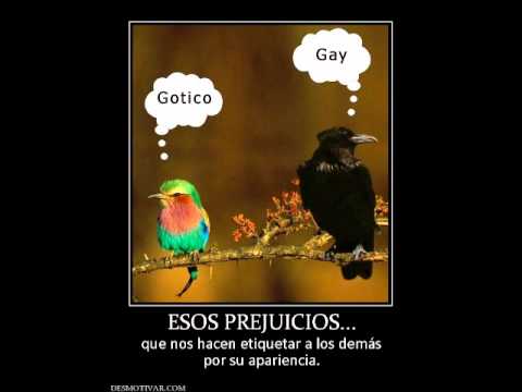 Gente video