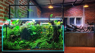 #343 Membuat Aquascape modal 18 jutaann!!!Bisa bertahan seumur hidup?