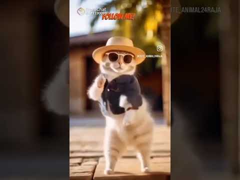 # cute animal funny shorts # ai generate video # pratyaksha #Anvita