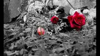 Voglio Volare Marco Masini