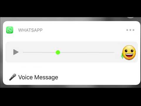 Tenha Calma Moreno, ta ignorante, você não é assim - Áudio de whatsapp