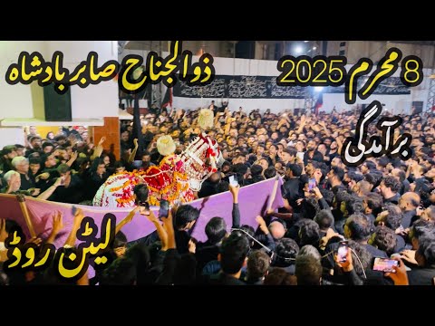 8 Muharram 2025 | Litton Road | Baramdagi Zuljanah Sabar Badshah | Markazi Jaloos