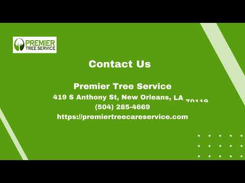 Premier Tree Service | 419 S Anthony St, New Orleans, LA 70119 | (504) 285-4669