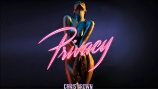 Chris Brown - Privacy (Clean)