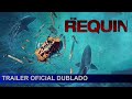The Requin 2022 Trailer Oficial Dublado