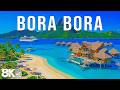 [8K] Bora Bora 2026 🇫🇷 Sun-Kissed Shores, Coral Reefs & Breathtaking Island Views DEFAULT Thumbnail