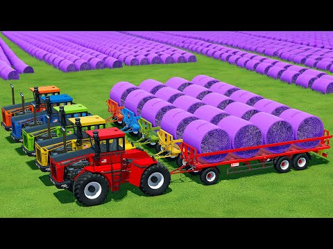 HARVESTING LAVENDER AND TRANSPORTING BALES WITH BIG BUD TRACTORS - Farming Simulator 22