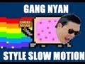 PSY Nyan Cat Slow Motion 