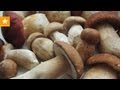 Сушим грибы - быстрый и проверенный способ 