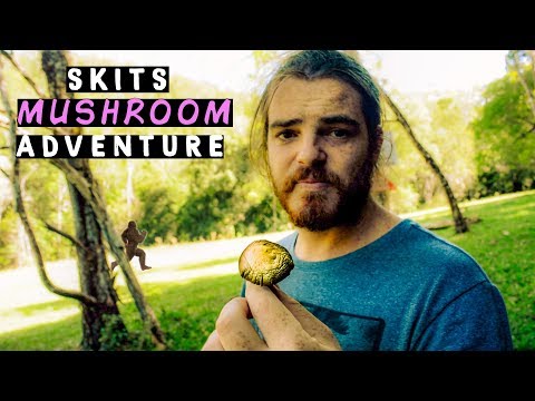 Picking Mushrooms on Choomah Island w/ Jarrad Wright (Big Lez Vlog + Simulation)