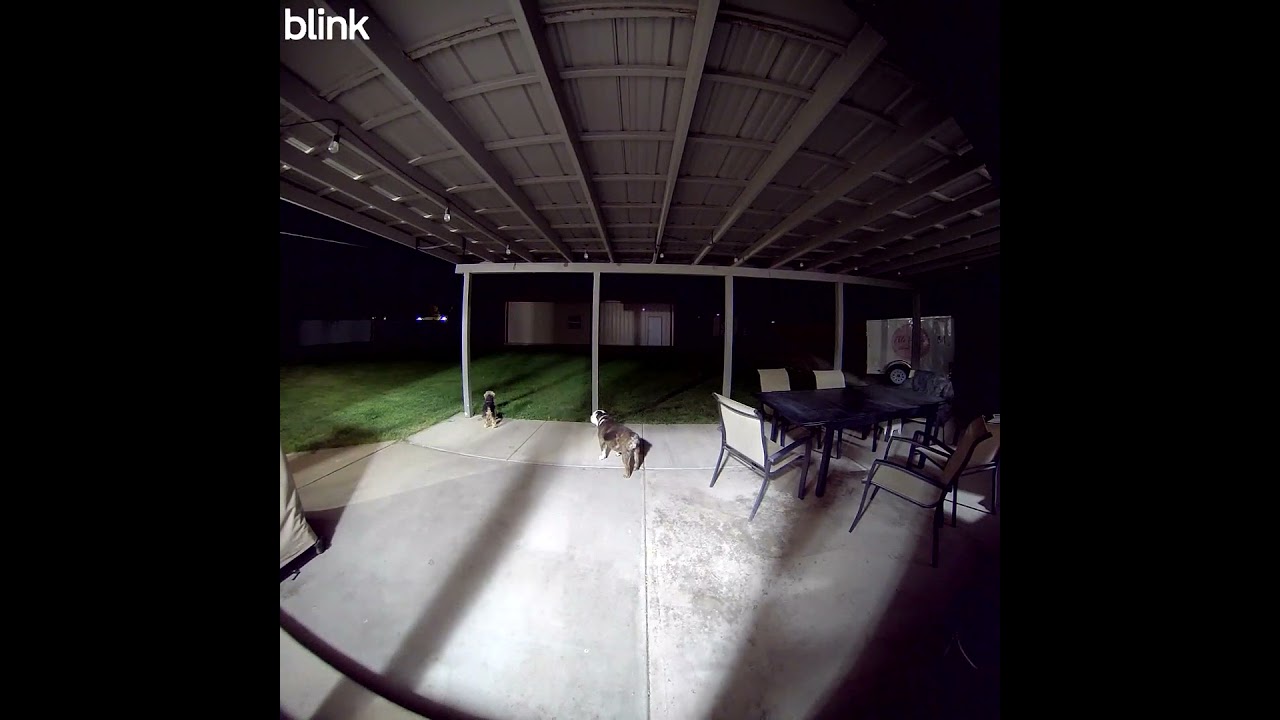 Blink Battery Doorbell 2K+ - Nightime color - YouTube