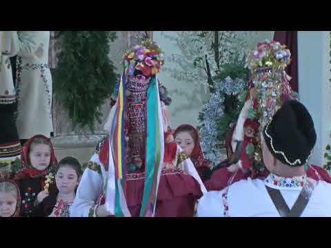 Maria Salaru Horse Guard