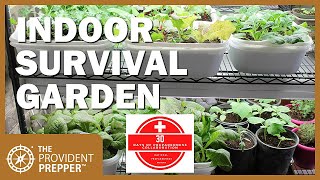 How to Grow an Indoor Survival Garden