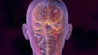 migraine definition symptomes causes remedes naturels