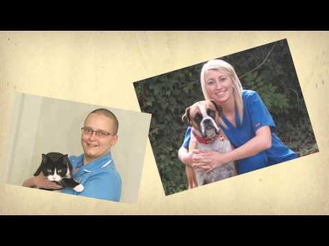 download lagu mp3 mp4 Bell Brown Bentley Veterinary Surgeons, download lagu Bell Brown Bentley Veterinary Surgeons gratis, unduh video klip Bell Brown Bentley Veterinary Surgeons